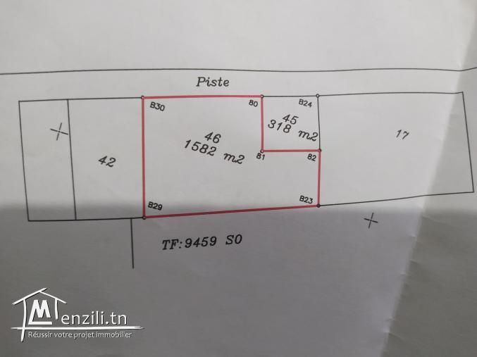 Terrain à Chott Mariem