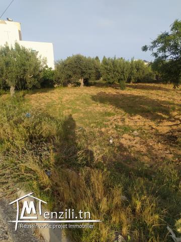 Terrain à Chott Mariem