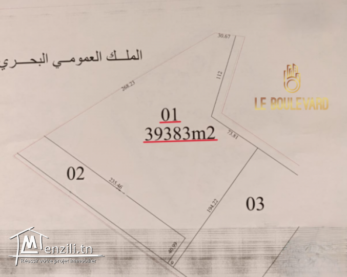 A vendre Terrain 4 Hectares à El marja Paradise tunisie