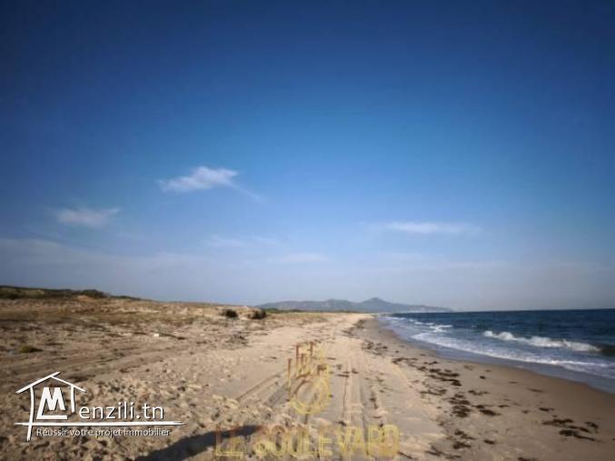 A vendre Terrain 4 Hectares à El marja Paradise tunisie