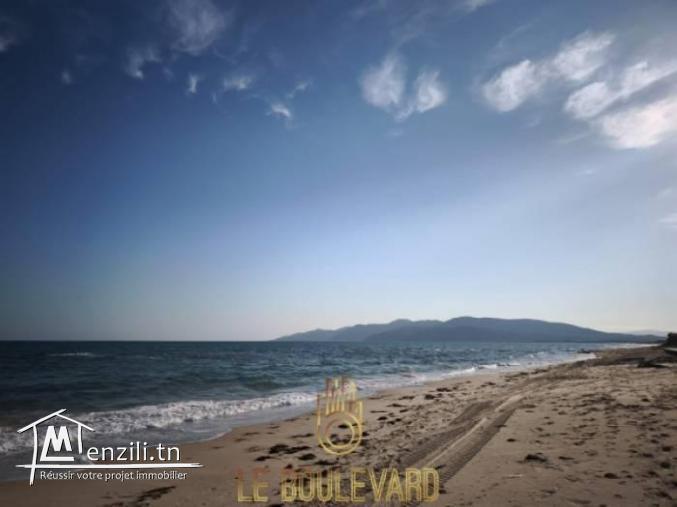 A vendre Terrain 4 Hectares à El marja Paradise tunisie