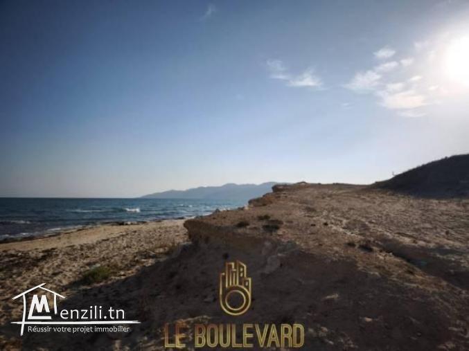 A vendre Terrain 4 Hectares à El marja Paradise tunisie