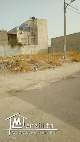 vente terrain viabilisé