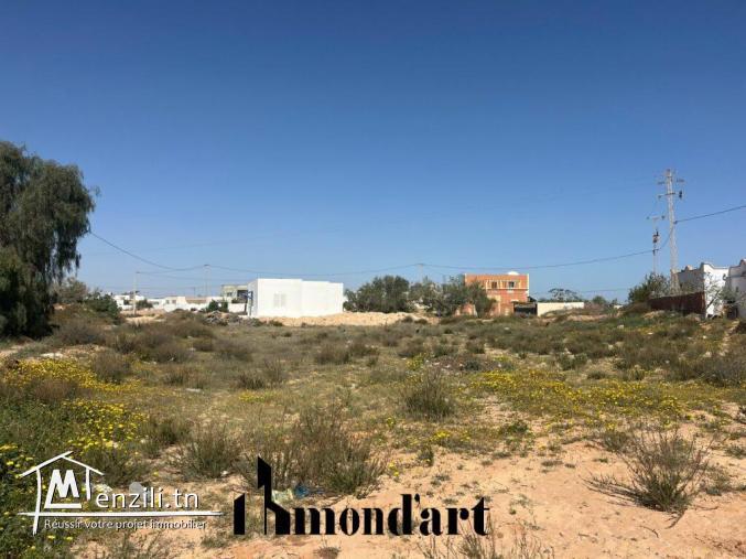 Terrain à Azmouni