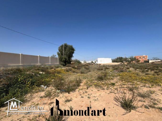 Terrain à Azmouni