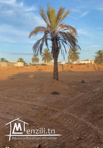 Terrain Ajim djerba