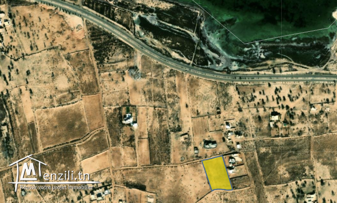DJERBA, SIDI SALEM Terrain 6 367 m² | Titre Bleu individuel | Prix : 300 000 TND