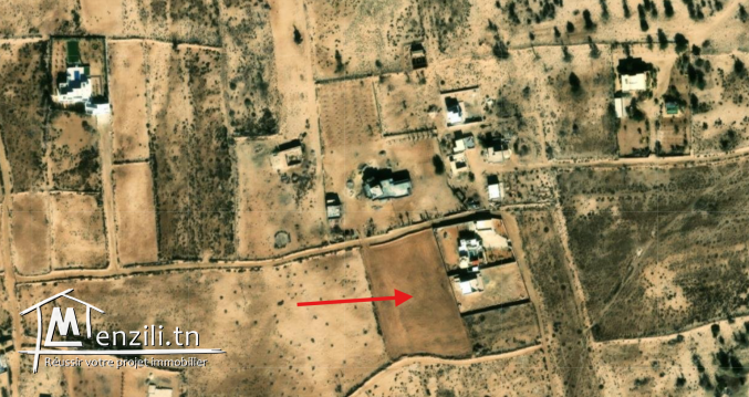 DJERBA, SIDI SALEM Terrain 6 367 m² | Titre Bleu individuel | Prix : 300 000 TND