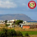 terrain à dar allouch de 220 m2 et 295 m2 