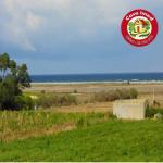 terrain à dar allouch de 220 m2 et 295 m2 