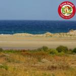 terrain à dar allouch de 220 m2 et 295 m2 