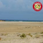 فرصة ما تتعوضش أرض عل بحر في دار علوش