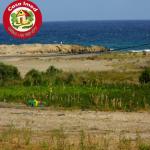 nouveau et exclusif super terrain