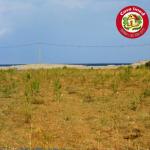 nouveau et exclusif super terrain