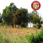 offre de jours des terrain vue sur mer