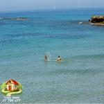 prix choc un terrain de rêve a hawaria