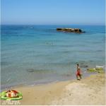 prix choc un terrain de rêve a hawaria