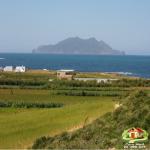 فرصة العمر للي يحب يصيف مرتاح