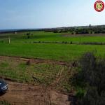 إستثمار مش نورمال