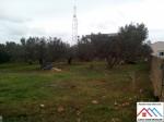 Terrain commercial a dar allouche de 3730m2 tbleu