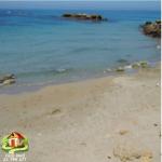 offre exceptionnelle terrain Haouaria