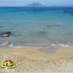 80dt pied dans l'eau hawaria