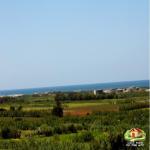 80dt pied dans l'eau hawaria