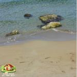 80dt pied dans l'eau hawaria