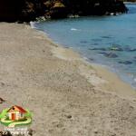 كازا عماد تودكم كان بأعز الأفاريات