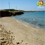 كازا عماد تودكم كان بأعز الأفاريات