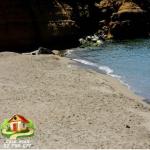 كازا عماد تودكم كان بأعز الأفاريات