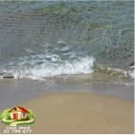 كازا عماد تودكم كان بأعز الأفاريات