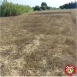 كازا عماد اليوم جابتلكم حاجة جديدة ومزيانة برشا