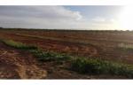 Terrain 29000m2