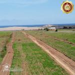 a vendre a dar allouche terrain