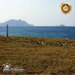 des terrains vue sur mer