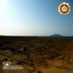 des terrains vue sur mer