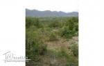 Un terrain Sidi Salem Garsi (Mornag).