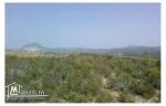 Un terrain Sidi Salem Garsi (Mornag).
