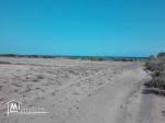 terrain a kerkouane de 1000m²