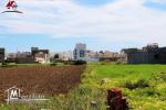 Terrain el Mansoura à Kélibia