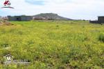 Terrain el Mansoura à Kélibia