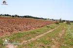 2 hectares et 6000 m²