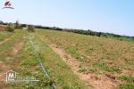 2 hectares et 6000 m²
