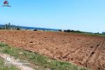 2 hectares et 6000 m²