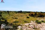 un terrain à hammem El Ghzéz