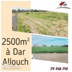 un terrain de 2500 m² à Dar Allouch