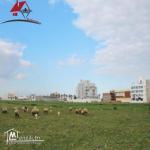 un terrain de 1650 m² à Kélibia