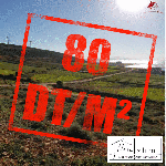 8 lots de 238m² à 314m