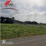 des lots de terrain de 250m² et 500m²   à Dar Allouch